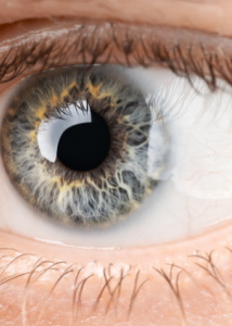 An eyeball for Iridology