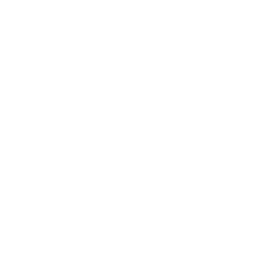 Beena Guide sub logo