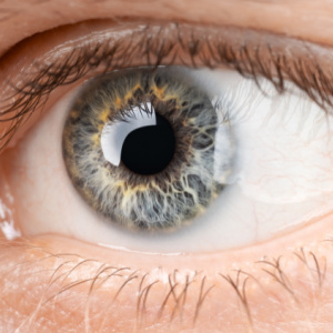 Man's eye open close-up, man An eye for Iridology services